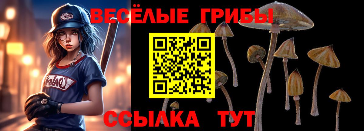 Псилоцибиновые грибы мицелий Тайшет