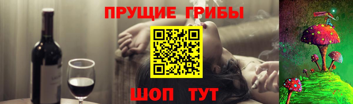 Псилоцибиновые грибы Cubensis  Вход с VPN  Тайшет 